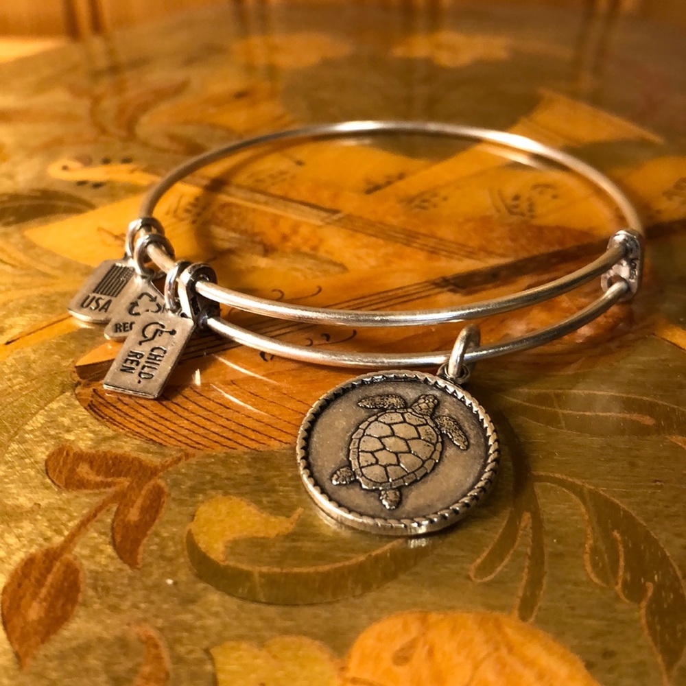 Wind and Fire Turtle Bangle